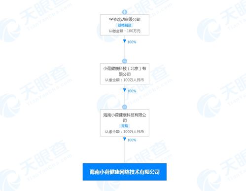 海南小荷健康网络技术有限公司成立，布局远程健康管理及网络文化服务